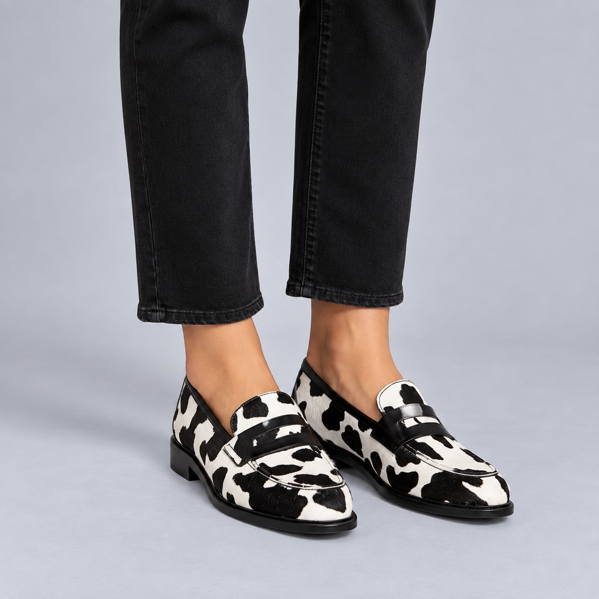 Mocasín Salvaje Animal